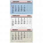 At-A-Glance 2022 Wall Calendar Three Months to View Board Binding 300x595mm Assorted Ref TML 2022 160129