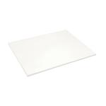 Blotting Paper Full Demy W570xD445mm Flat White [50 Sheets] 801735