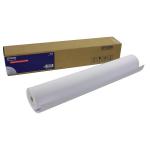 Epson Presentation Matte Paper Roll 24 Inches x25m 172gsm C13S041295 EP81951