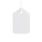ValueX Reinforced Coloured Strung Tag 48x32mm White (Pack 1000) T257845 57845CT