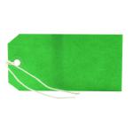 Strung Tag 120x60mm Green (Pack of 1000) KF01624 KF01624