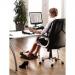 The image shows a Fellowes footrest and back support, specifically the Refresh Footrest model. The footrest appears to be adjustable and made of sturdy materials, while the back support has a mesh design for breathability. The overall look is ergonomic and modern.