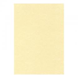 Cheap Stationery Supply of Letterhead Presentation Paper Poster Quality 165gsm A4 Champagne 50 Sheets 697304 Office Statationery
