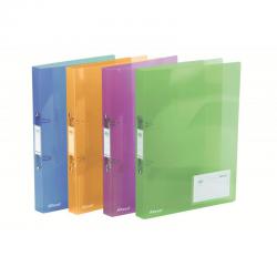 Cheap Stationery Supply of Rexel A4 Ring Binder; Assorted Colours; 25mm 2 O-Ring Diameter; Ice - Outer carton of 10 Office Statationery