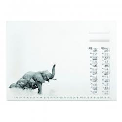 Cheap Stationery Supply of Durable African Wildlife Calendar Desk Mat Refill 570 x 410mm 7323 DB98705 Office Statationery