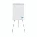 This photo features a sleek grey Bi-Silque flipchart easel with a large 700x1000mm size, perfect for presentations and brainstorming sessions. A Bi-Office Earth flipchart pad is attached to the easel, providing plenty of space for writing and drawing. The easel is sturdy and adjustable, making it easy to use in any setting. The neutral color scheme and modern design would fit seamlessly into any office or classroom.