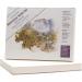 Clairefontaine Goldline Studio Pad 240x320mm 200gsm 100 Sheets White Paper 421/1021Z 86465EX
